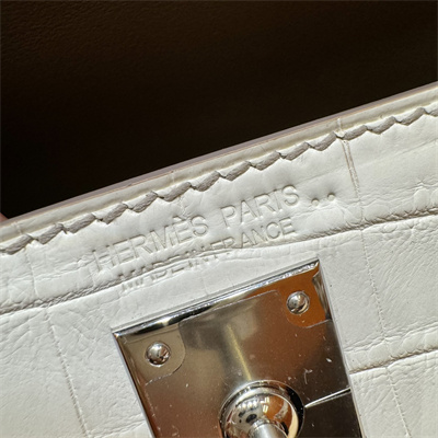 Kelly Mini II Himalayan Bag Niloticus Silver Tone Hardware HS