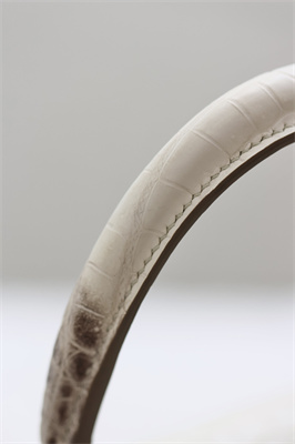 Kelly Retourne Bag 25 Himalayan Niloticus Silver Hardware HS