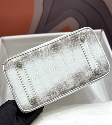 Bir.kin Himalayan Bag 25 Niloticus Silver Hardware HS