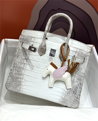 Bir.kin Himalayan Bag 25 Niloticus Silver Hardware HS