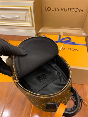 L.V Palm Spring Mini Backpack Monogram Coated Canvas M44873 TOP