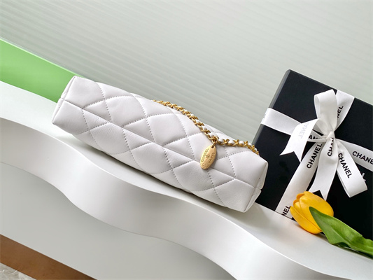 Ch*el hobo bag lambskin gold tone metal white as5528