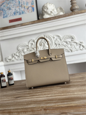 Bir.kin Sellier Bag Epsom Leather 25/30/35CM Gold Hardware In Trench Color HS