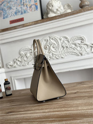 Bir.kin Sellier Bag Epsom Leather 25/30/35CM Gold Hardware In Trench Color HS