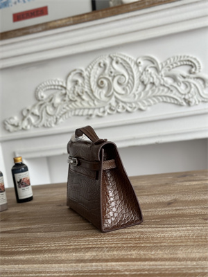 Kelly Pochette Bag Embossed Crocodile Silver Tone Hardware Brown HS