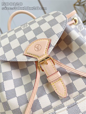 LV Montsouris PM Backpack Damier Azur Canvas N00120