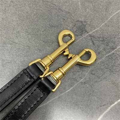 Ce**e teen lola in shiny calfskin black color