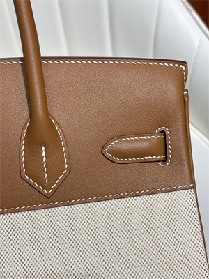 Bir.kin Bag Swift Leather & Canvas 25/30 Gold/Silver Hardware In Gold HS