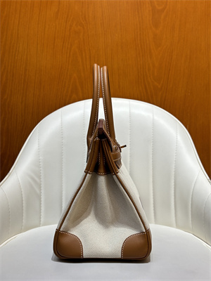 Bir.kin Bag Swift Leather & Canvas 25/30 Gold/Silver Hardware In Gold HS