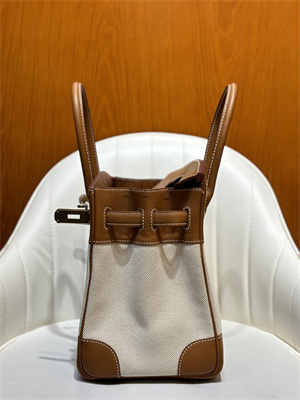 Bir.kin Bag Swift Leather & Canvas 25/30 Gold/Silver Hardware In Gold HS