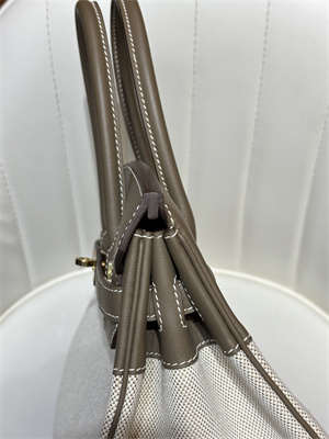 Bir.kin Bag Swift Leather & Canvas 25/30 Gold/Silver Hardware In Etoupe HS