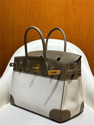 Bir.kin Bag Swift Leather & Canvas 25/30 Gold/Silver Hardware In Etoupe HS