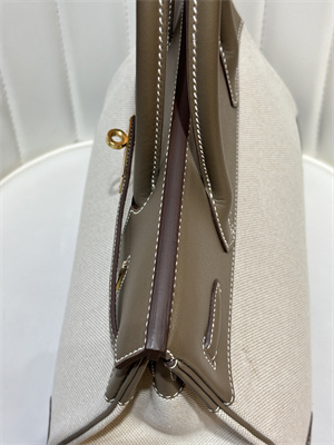 Bir.kin Bag Swift Leather & Canvas 25/30 Gold/Silver Hardware In Etoupe HS