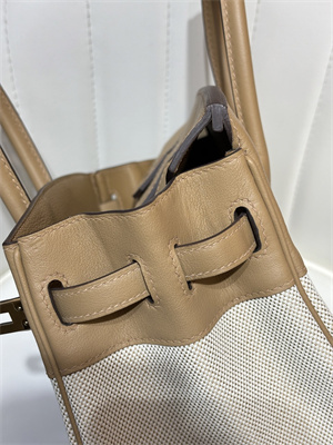 Bir.kin Bag Swift Leather & Canvas 25/30 Gold/Silver Hardware In Chai HS