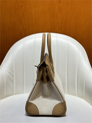 Bir.kin Bag Swift Leather & Canvas 25/30 Gold/Silver Hardware In Chai HS