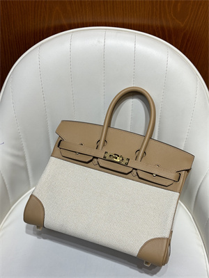 Bir.kin Bag Swift Leather & Canvas 25/30 Gold/Silver Hardware In Chai HS