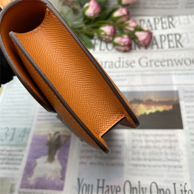 Constance Elan Epsom Leather Gold/Silver Tone Hardware Orange Color HS(With Mirror)