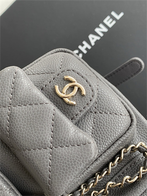 Cha.nel Duma Backpack Grained Calfskin Gold Tone Metal Grey AS3860