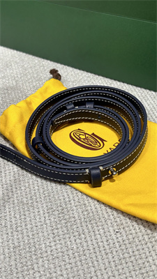 Go*ard beluga mini bag Go*ardine canvas & chevroches calfskin navy blue