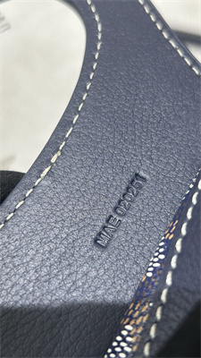 Go*ard beluga mini bag Go*ardine canvas & chevroches calfskin navy blue