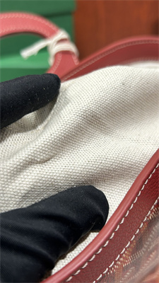 Go*ard beluga mini bag Go*ardine canvas & chevroches calfskin red