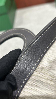 Go*ard beluga mini bag Go*ardine canvas & chevroches calfskin grey