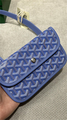 Go*ard bohème hobo bag Go*ardine canvas & chevroches calfskin iris