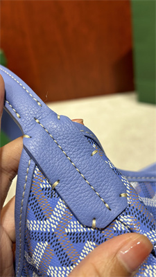 Go*ard bohème hobo bag Go*ardine canvas & chevroches calfskin iris