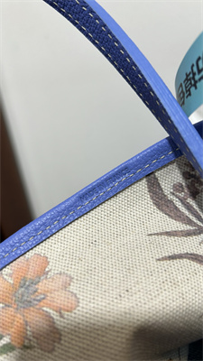 Go*ard saint l0*is pm bag in Go*ardine canvas & chevroches calfskin iris