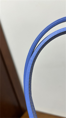 Go*ard saint l0*is pm bag in Go*ardine canvas & chevroches calfskin iris