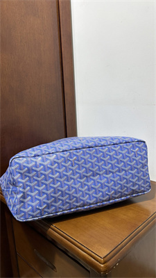 Go*ard saint l0*is pm bag in Go*ardine canvas & chevroches calfskin iris