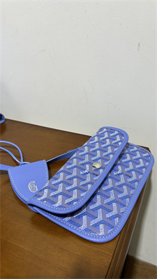 Go*ard saint l0*is gm bag in Go*ardine canvas & chevroches calfskin iris