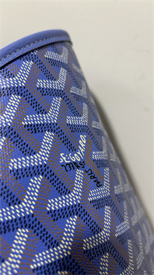 Go*ard saint l0*is gm bag in Go*ardine canvas & chevroches calfskin iris