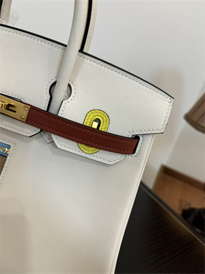 Birkin Colormatic Bag Swift Leather 25/30 Gold/Silver Hardware In Nata/Chai/Cuivre/Lime/Mauve Sylvester Color HS