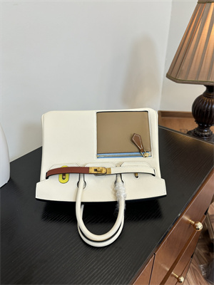 Birkin Colormatic Bag Swift Leather 25/30 Gold/Silver Hardware In Nata/Chai/Cuivre/Lime/Mauve Sylvester Color HS