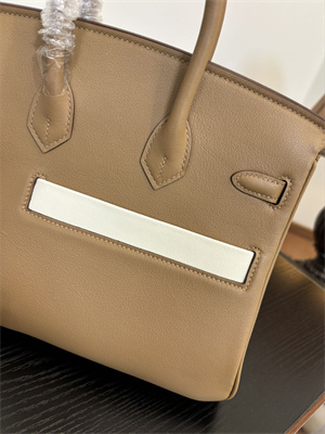 Birkin Colormatic Bag Swift Leather 25/30 Gold/Silver Hardware In CHAI, LIME, MAUVE SYLVESTRE, BLEU BRUME, CASSIS & NATA Color HS