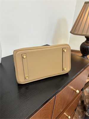 Birkin Colormatic Bag Swift Leather 25/30 Gold/Silver Hardware In CHAI, LIME, MAUVE SYLVESTRE, BLEU BRUME, CASSIS & NATA Color HS