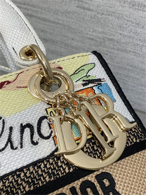 CD Medium Lady D-Lite Bag Embroidery White