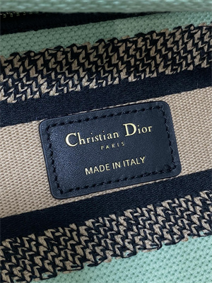 CD Medium Lady D-Lite Bag Embroidery Green