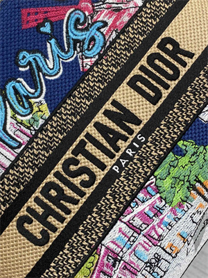 CD Medium Lady D-Lite Bag Embroidery Blue