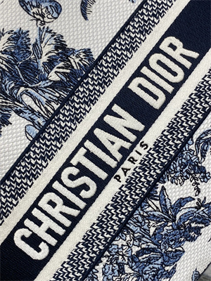 CD Medium Lady D-Lite Bag Embroidery White