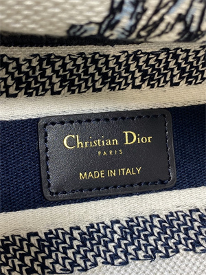 CD Medium Lady D-Lite Bag Embroidery White