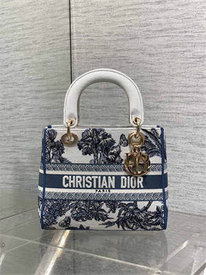 CD Medium Lady D-Lite Bag Embroidery White &Blue