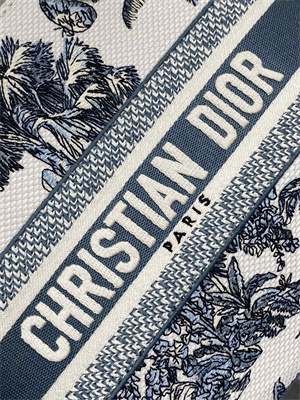 CD Medium Lady D-Lite Bag Embroidery White &Blue