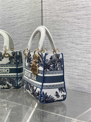 CD Medium Lady D-Lite Bag Embroidery White &Blue