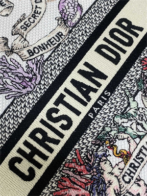 CD Medium Lady D-Lite Bag Embroidery White