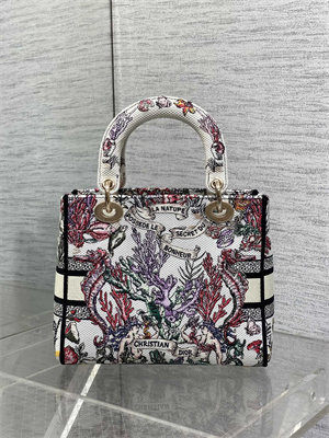 CD Medium Lady D-Lite Bag Embroidery White