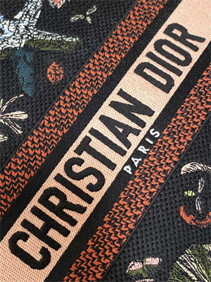 CD Medium Lady D-Lite Bag Embroidery Black