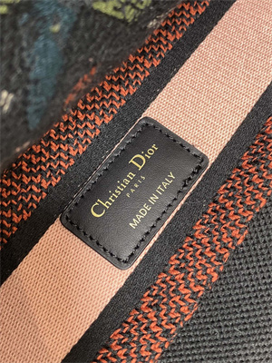 CD Medium Lady D-Lite Bag Embroidery Black