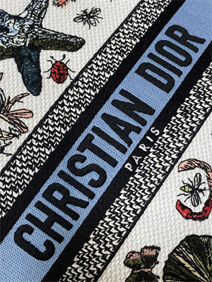 CD Medium Lady D-Lite Bag Embroidery White